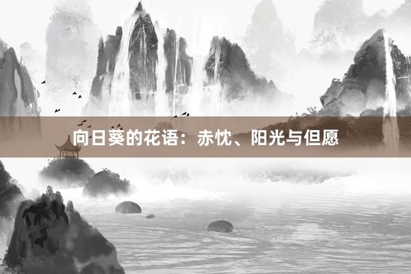 向日葵的花语：赤忱、阳光与但愿